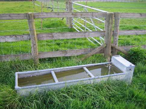 Water Trough
